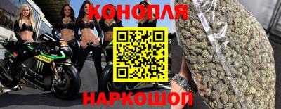 дмт Гусев