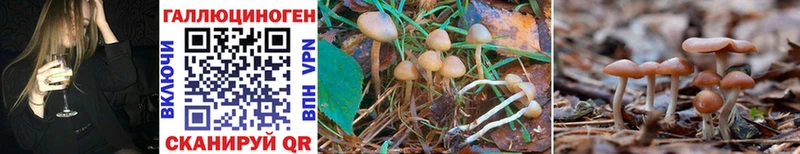 купить наркоту  Майкоп  Псилоцибиновые грибы MAGIC MUSHROOMS 